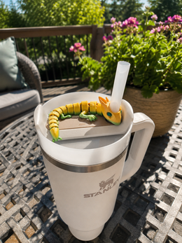 Stanley Cup Straw Dragon Fidget